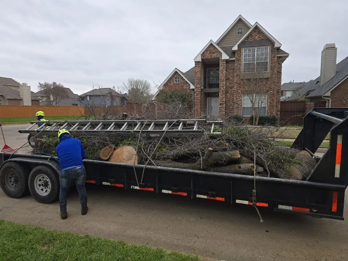 Expert Tree Removal with proper safety equipment in Lisman